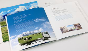 VI企業形象設計 為什么它是值得信賴的企業形象策劃核心